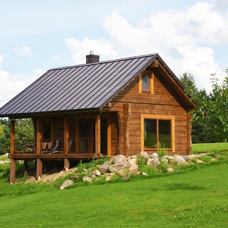 Vip Forest Dreams Villa Anykščiai Exterior foto